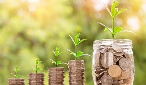 Как стать Директором по продажам с нуля – что нужно знать